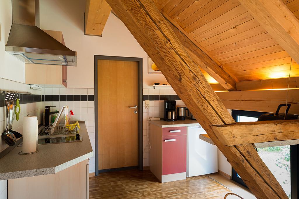 Alte Scheune Rietzschelhof Muglitztal 외부 사진
