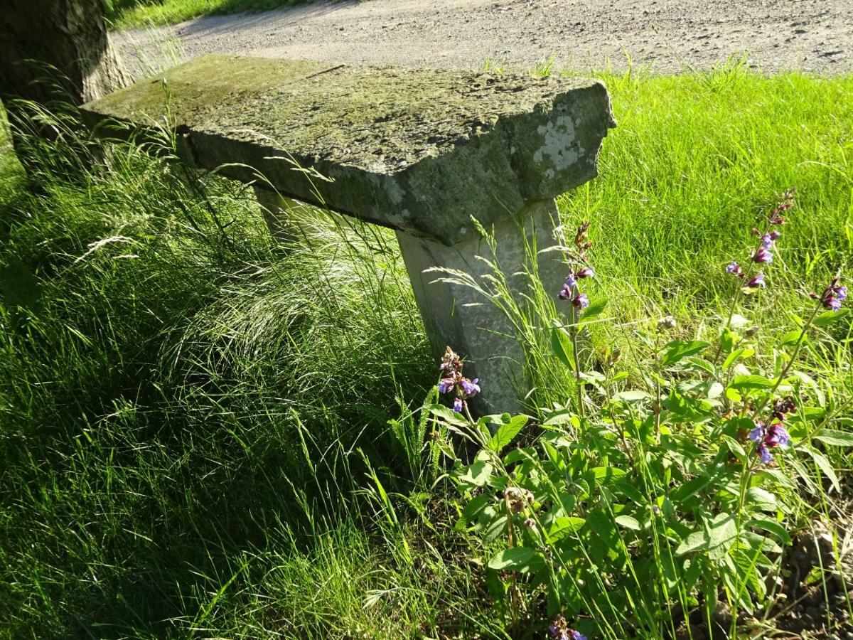 Alte Scheune Rietzschelhof Muglitztal 외부 사진
